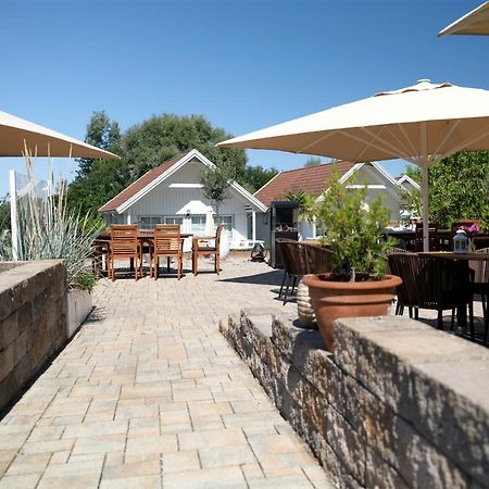 Ferienwohnung Seestern Fuer 6 Personen Mit Kamin & Terrasse 博尔滕哈根 外观 照片